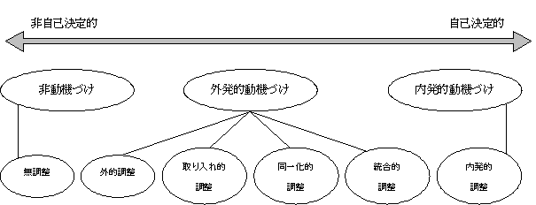 自己決定理論における動機づけ